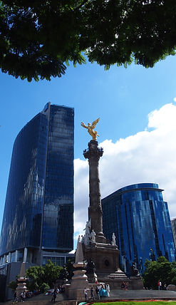 PA080652.JPG