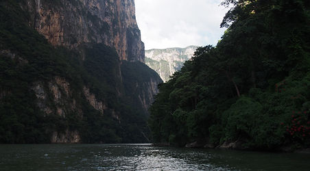 PA131320.JPG