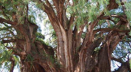 PA121144.JPG