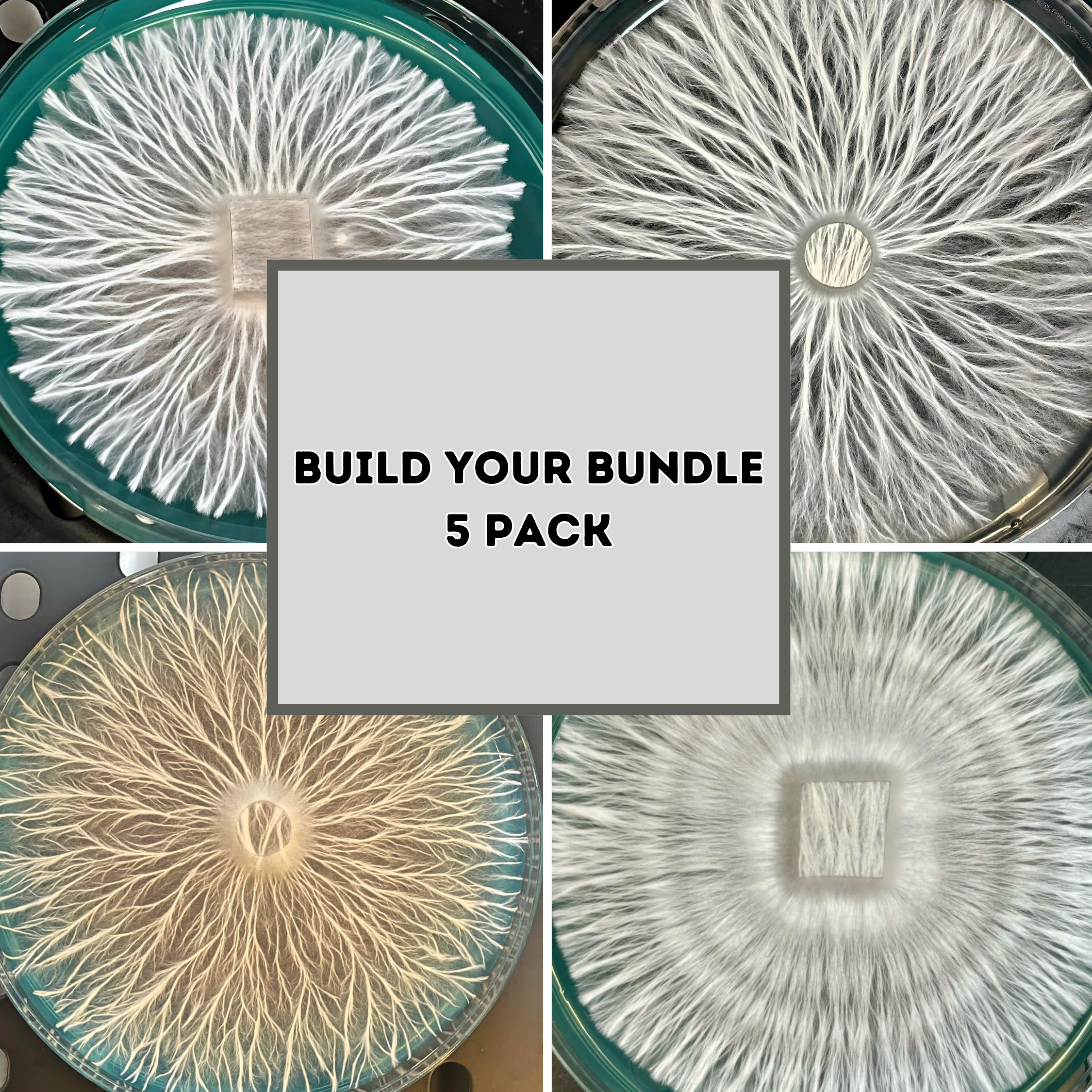 Build Your Bundle 5 Pack Research Plates