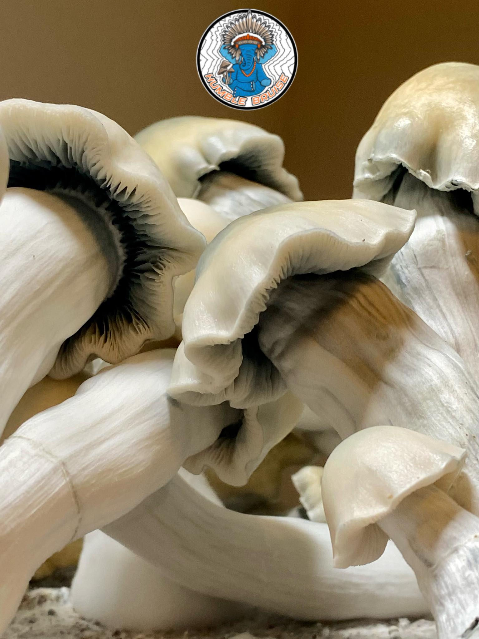 Yeti Research Syringe