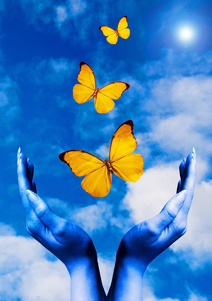 shutterstock_29354185.jpg