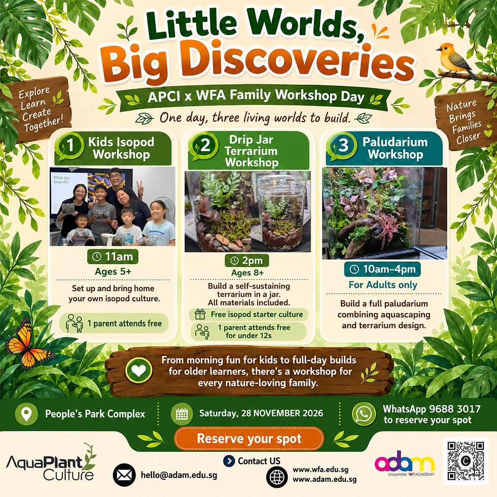 Little Worlds, Big Discoveries
