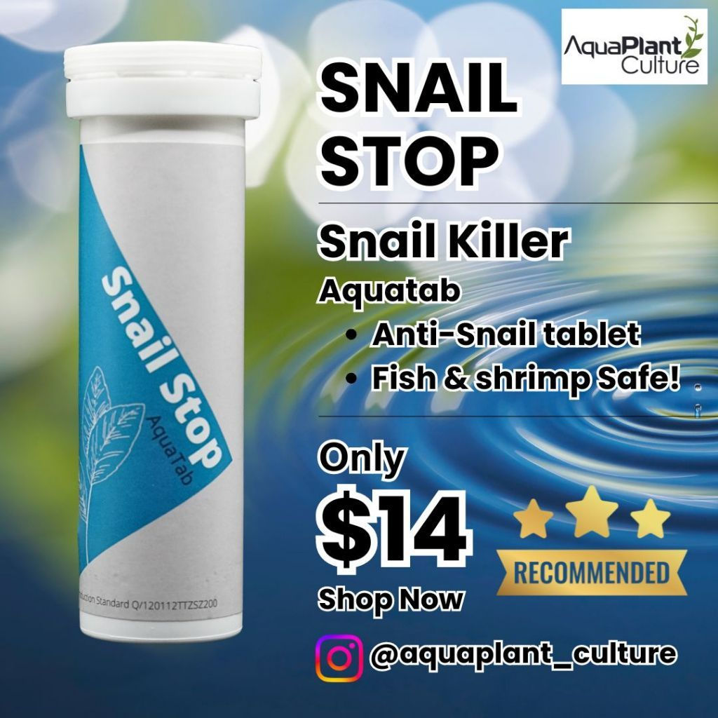 Snail Stop Aquatab anti-snail tablet