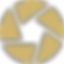 diaphragm