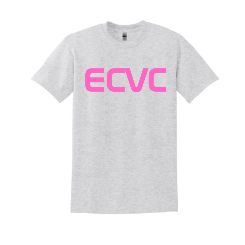 Gildan 5000 Cotton T-Shirt