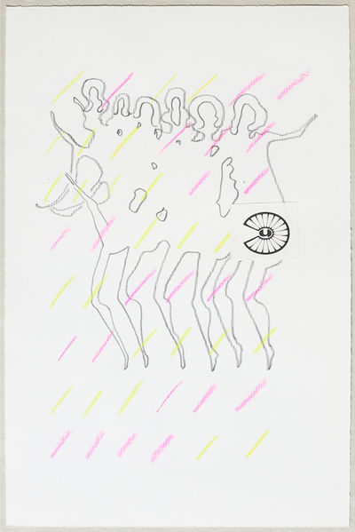 Z24:2020, 29,3 x 19,3 .JPG