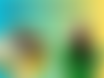 6 Interesting Fact About Hair Serums