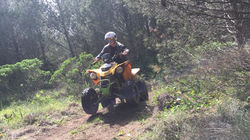 Guincho Tours (2)