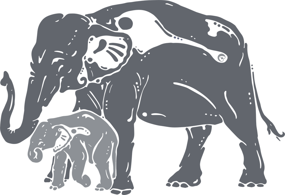 Thumbnail: Asian Elephant Shirt