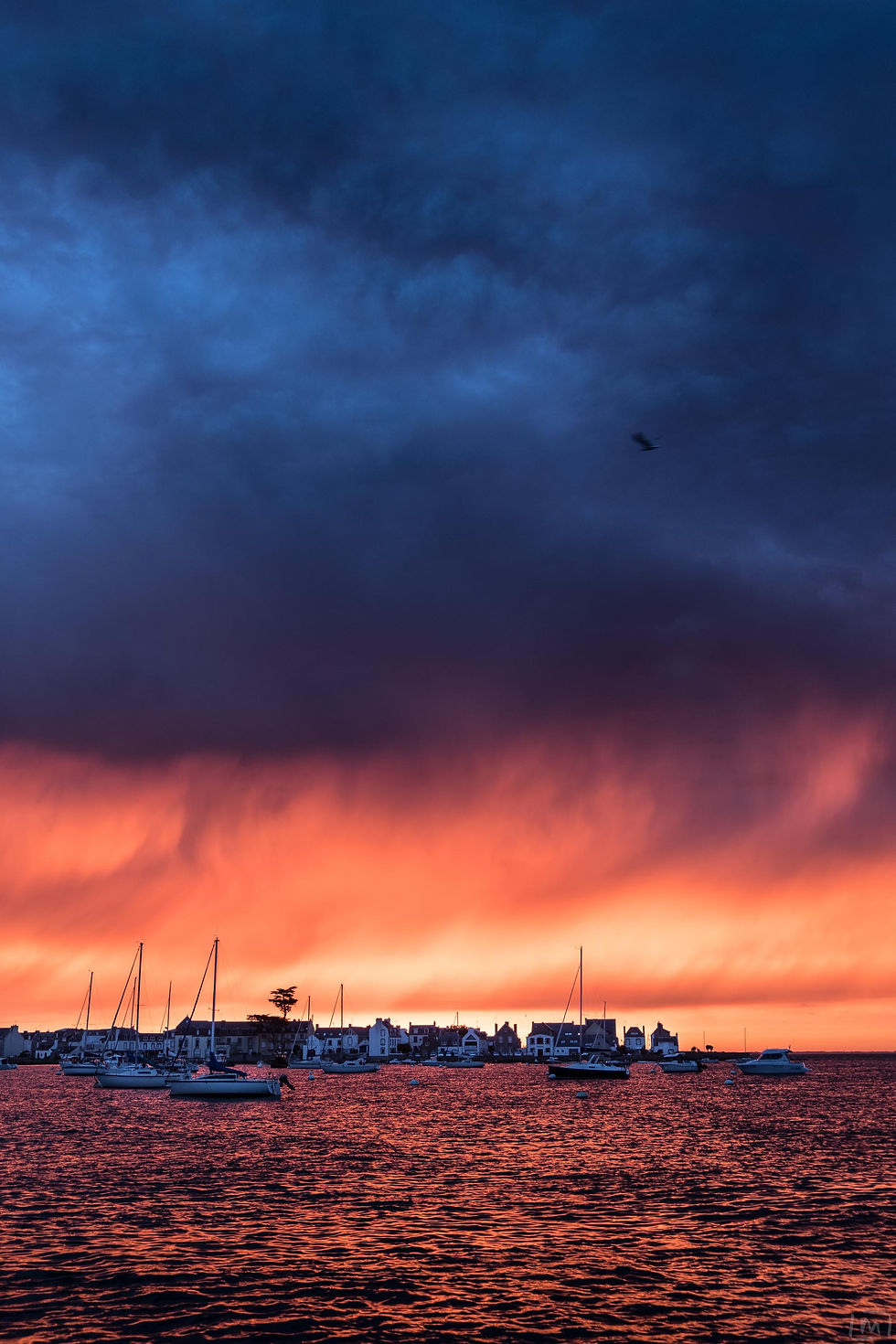 © Loïc Le Marchand