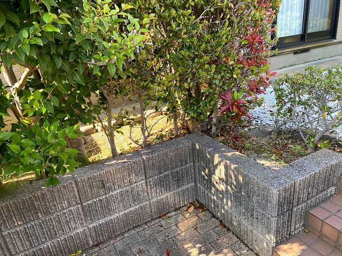 剪定写真