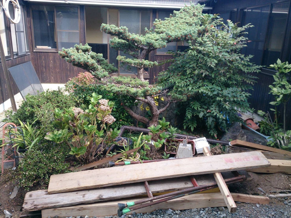 おしゃれな庭に
