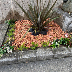 玄関先の植木のデザインリフォーム