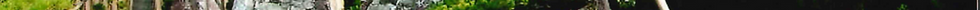 pexels-cottonbro-9836451 new 2.jpg