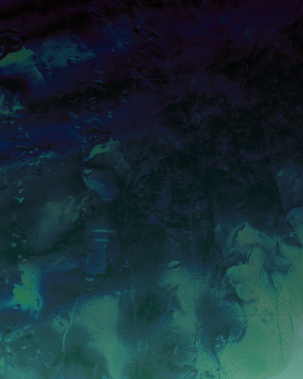 Fond texture (1).png