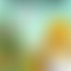 TIERISCH STARK! – Das Kinder- und Familienkonzert