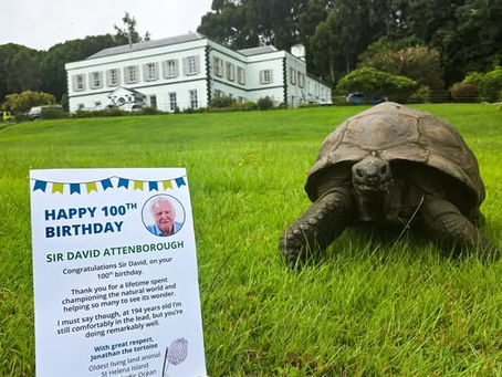 From a 194-Year-Old Tortoise to a Centurion: Jonathan Sends Birthday Greetings to Sir David Attenborough who turns 100 today