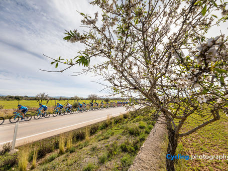 Enjoy a wide range of sports in Mallorca this winter.