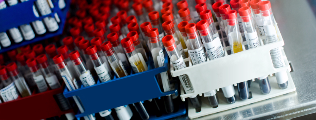 Planes Empresariales