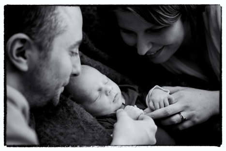 untitled image