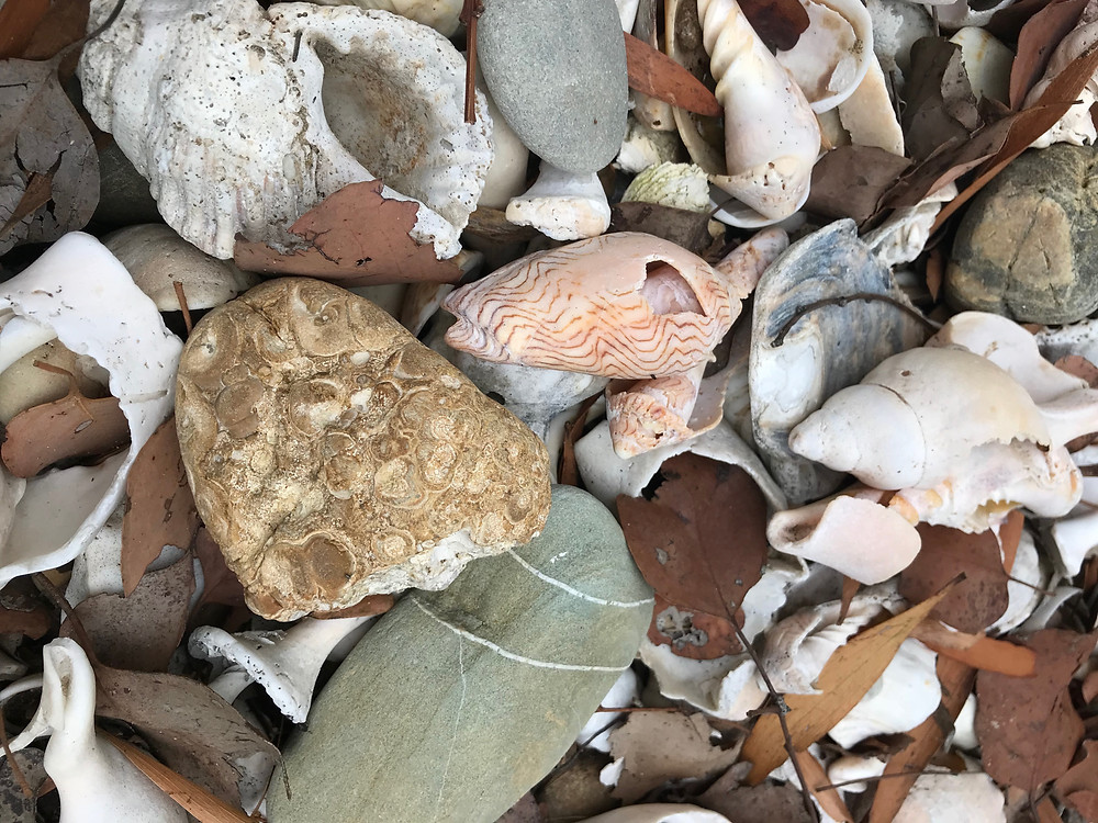 A surfers memorial