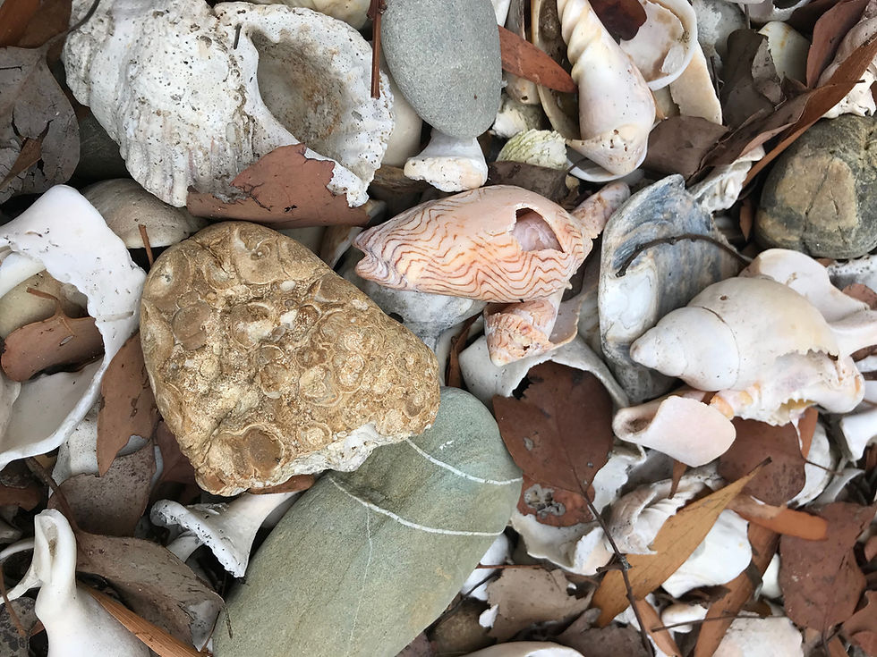 A surfers memorial