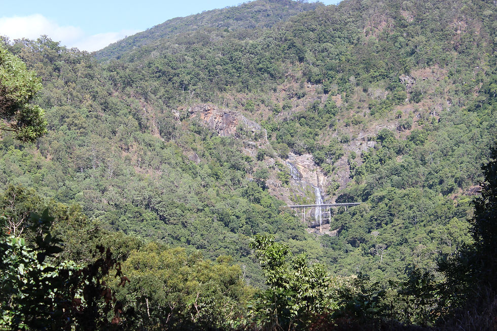 The train went along the bridge by the waterfall