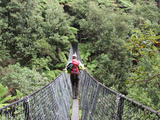 Blog 8: Tasmania - Zeehan to Geeveston