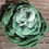 Thumbnail: GREEN GARDEN -  4ply 100% Hand dyed Baby Alpaca Yarn