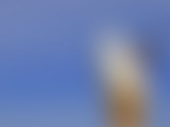 Great British Flake Off!