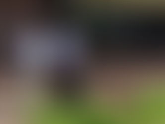 Florigo Appoints Area Sales Manager…