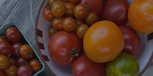 Assortment of red, orange, and green tomatoes