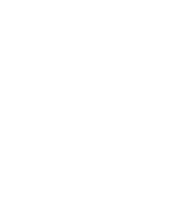 Teia icon branco.png