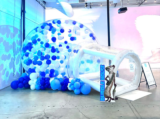 bubblehouse_edited.jpg