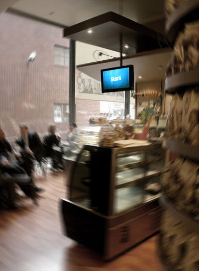 TAVi cafe job