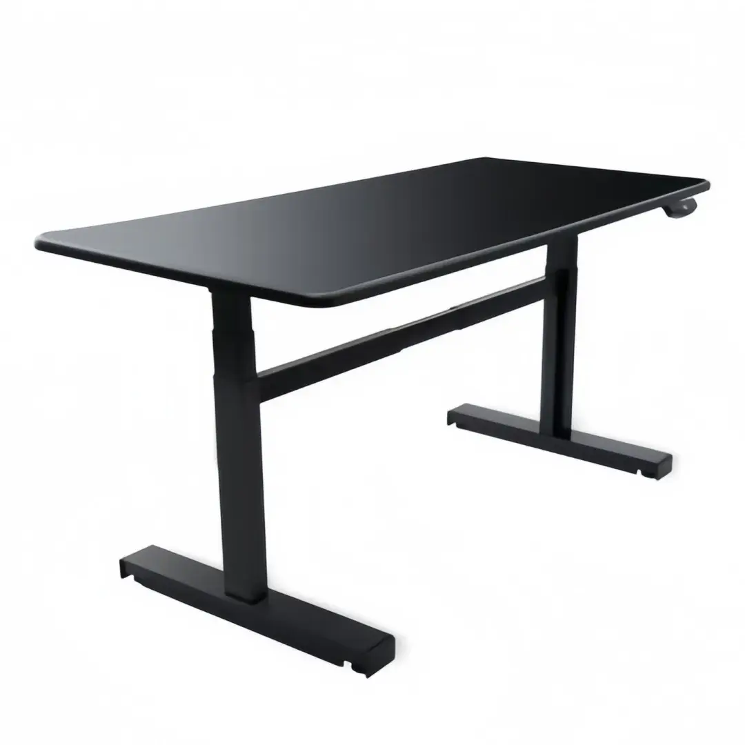 Linear Shape 2-Motor Height Adjustable Desk with Custom Color for Office Spaces