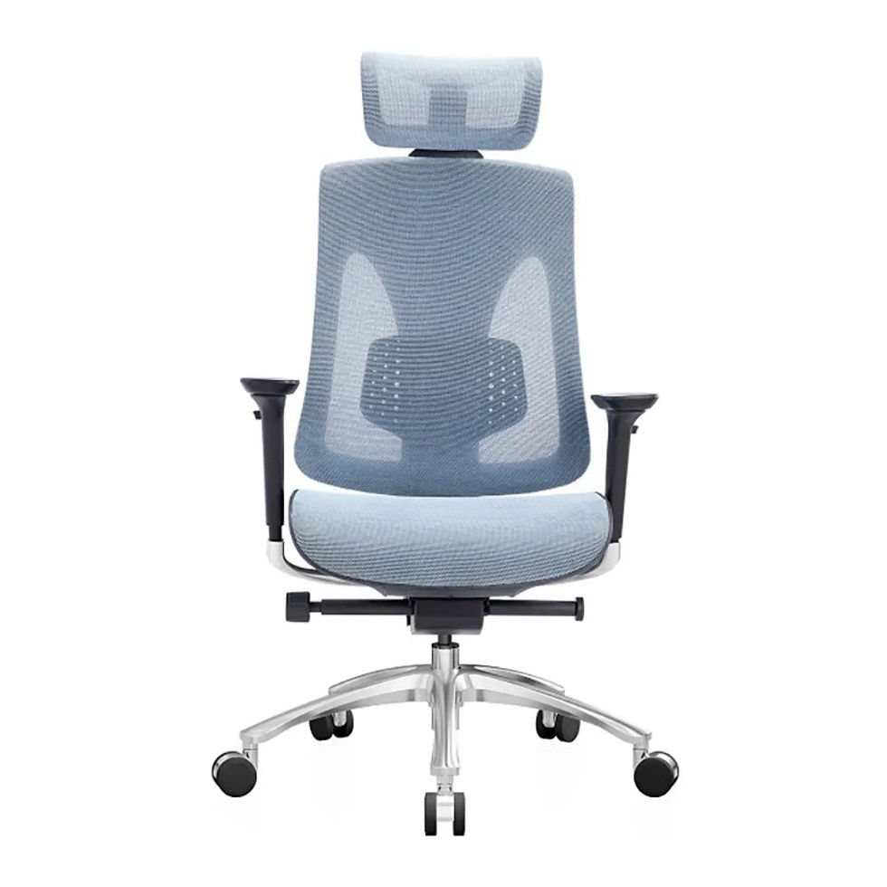 Thumbnail: Heavy Duty Ergonomic Mesh Executive Office Chair | High Back | Adjustable Dual B