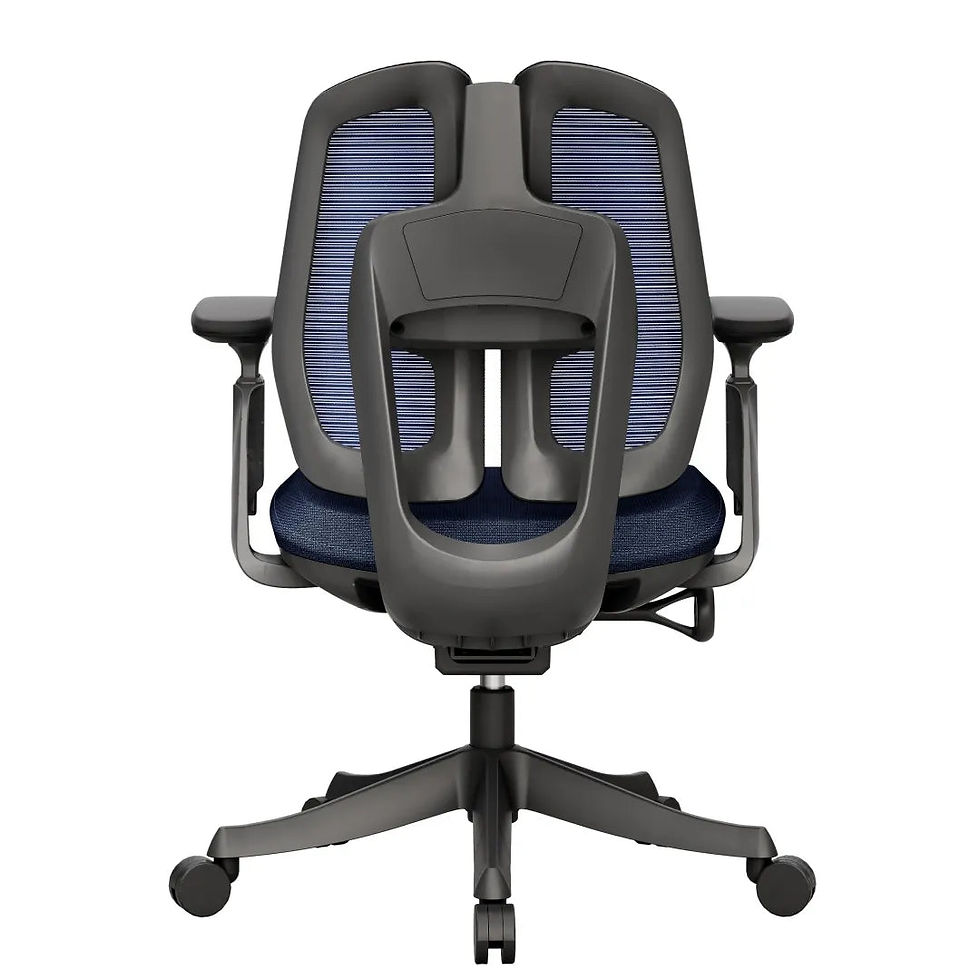 Thumbnail: Premium CEO Ergonomic Leather Office Chair with Back Support