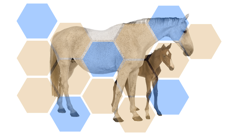 Design sem nome (27).png