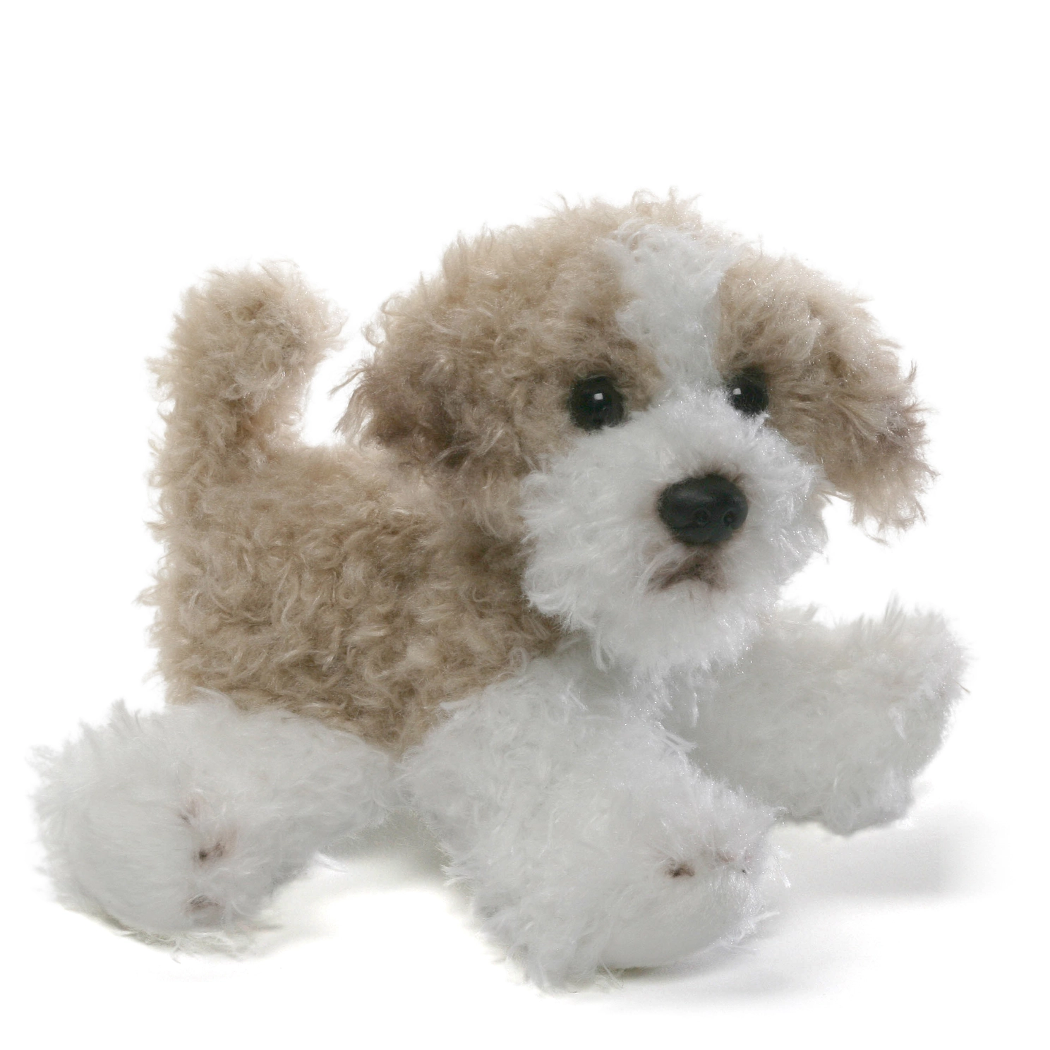 5in Maltipoo Dog- Cindy