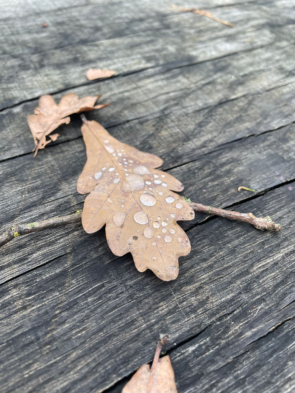 We Are Visitors Here