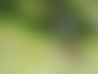 Mountain Bike Season Update #6 | GoPro Mountain Games