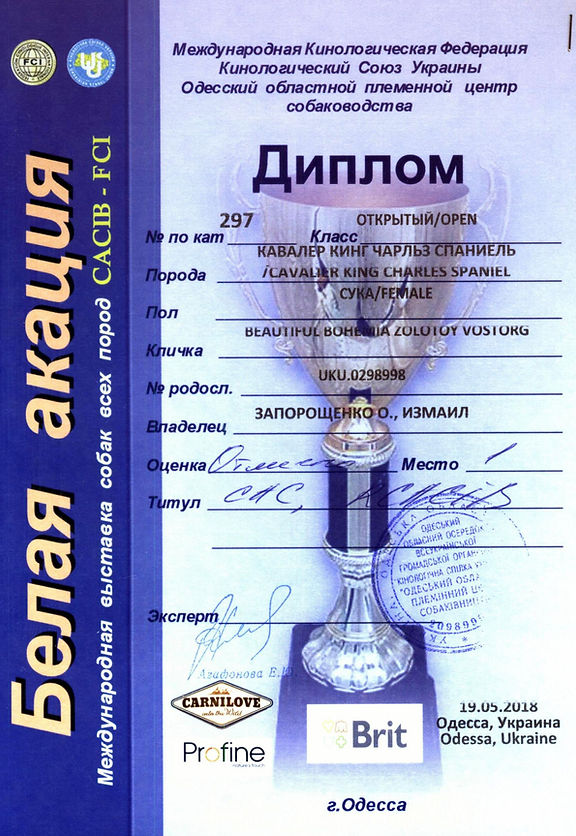 19.05.2018 diplom.jpg