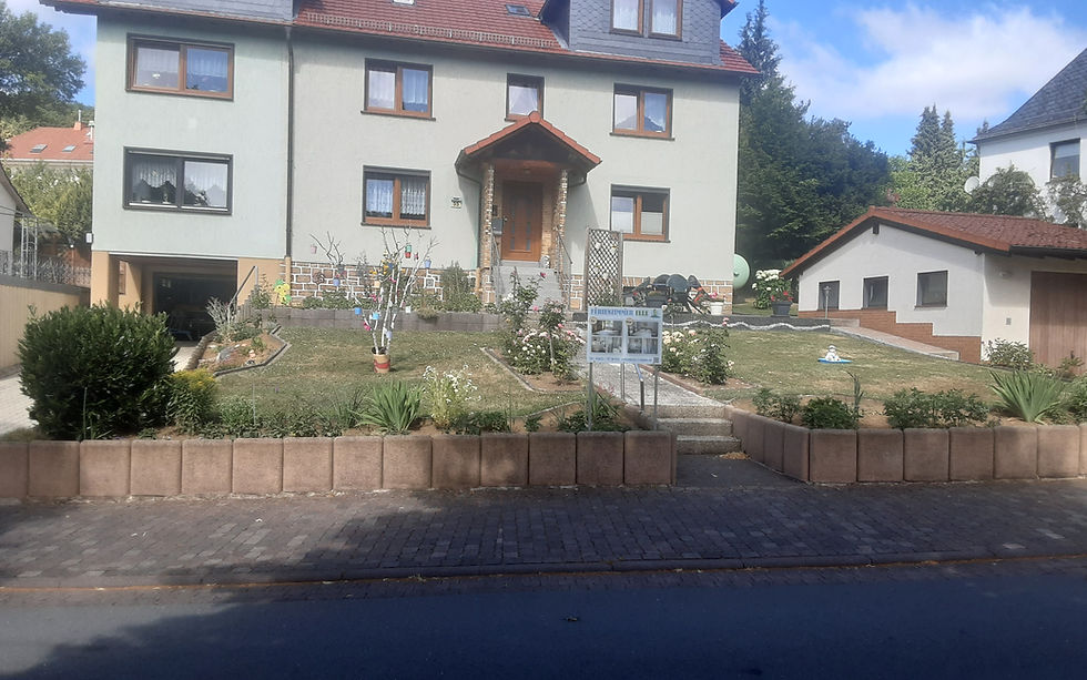 293.jpg