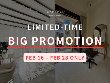 🧧February Limited-Time Promotion🧧