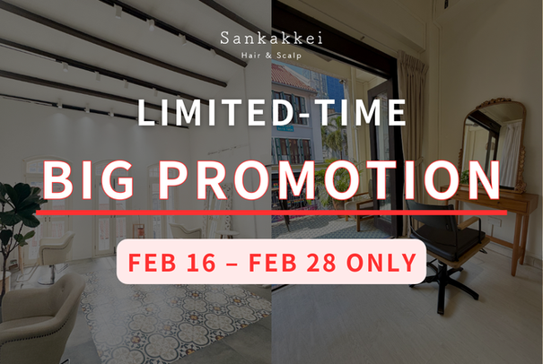 🧧February Limited-Time Promotion🧧