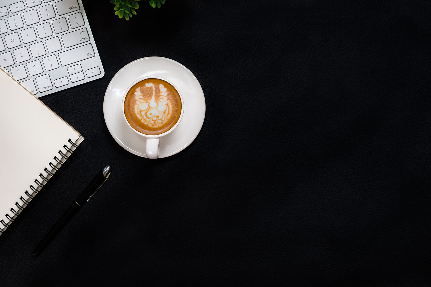 shutterstock_1135734080 (1) - Copie.jpg