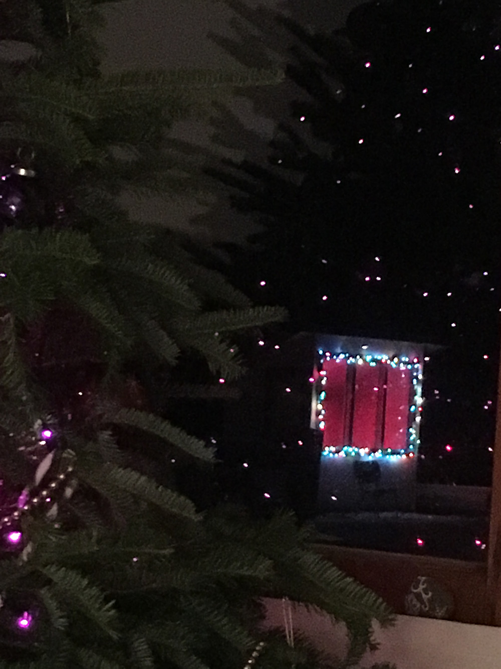 Even the chickens get lights!