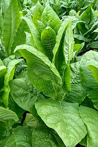 32.Символ 4.jpg